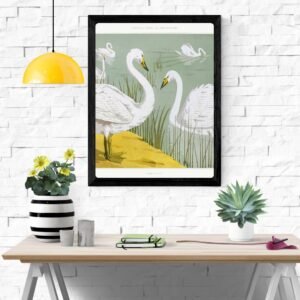 Cygne Sauvage (Wild Swan) Art Print – Elegant Wildlife Art for Home Decor